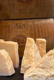 Parmesan